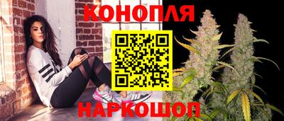 амф Бердск