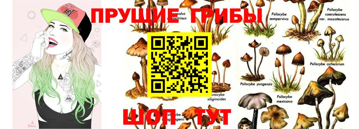 Псилоцибиновые грибы Psilocybine cubensis Похвистнево